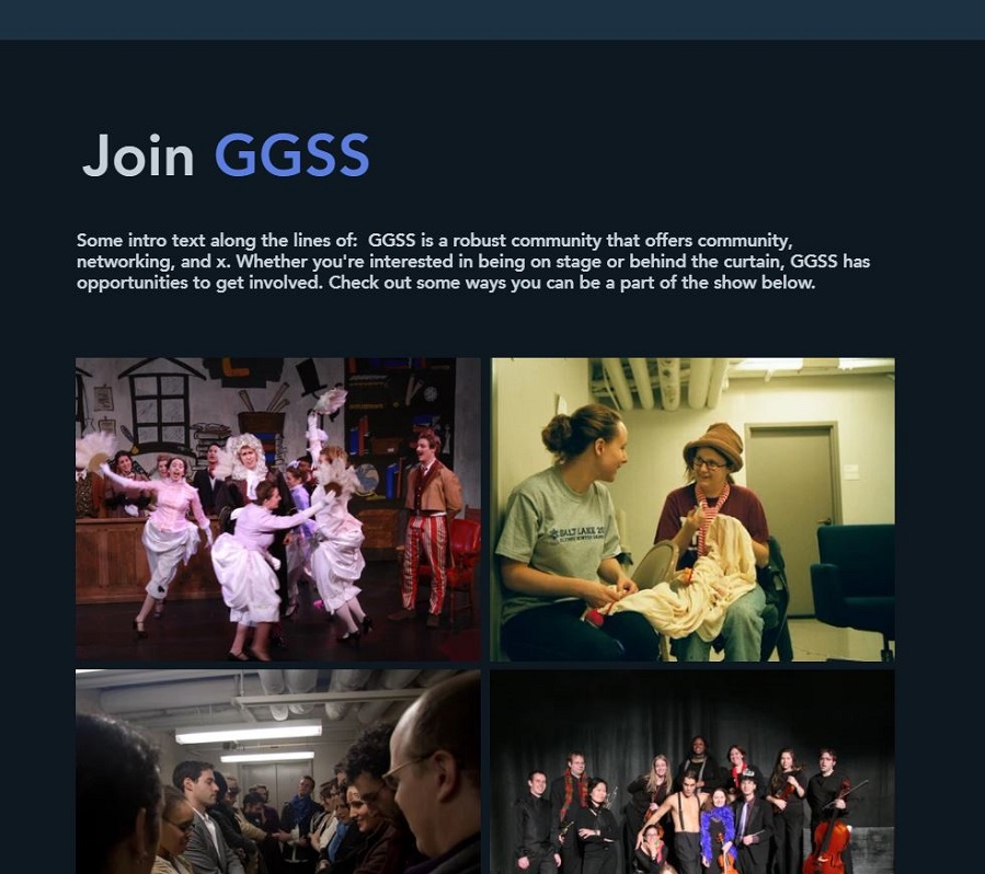 Screenshot of redesigned GGSS website.