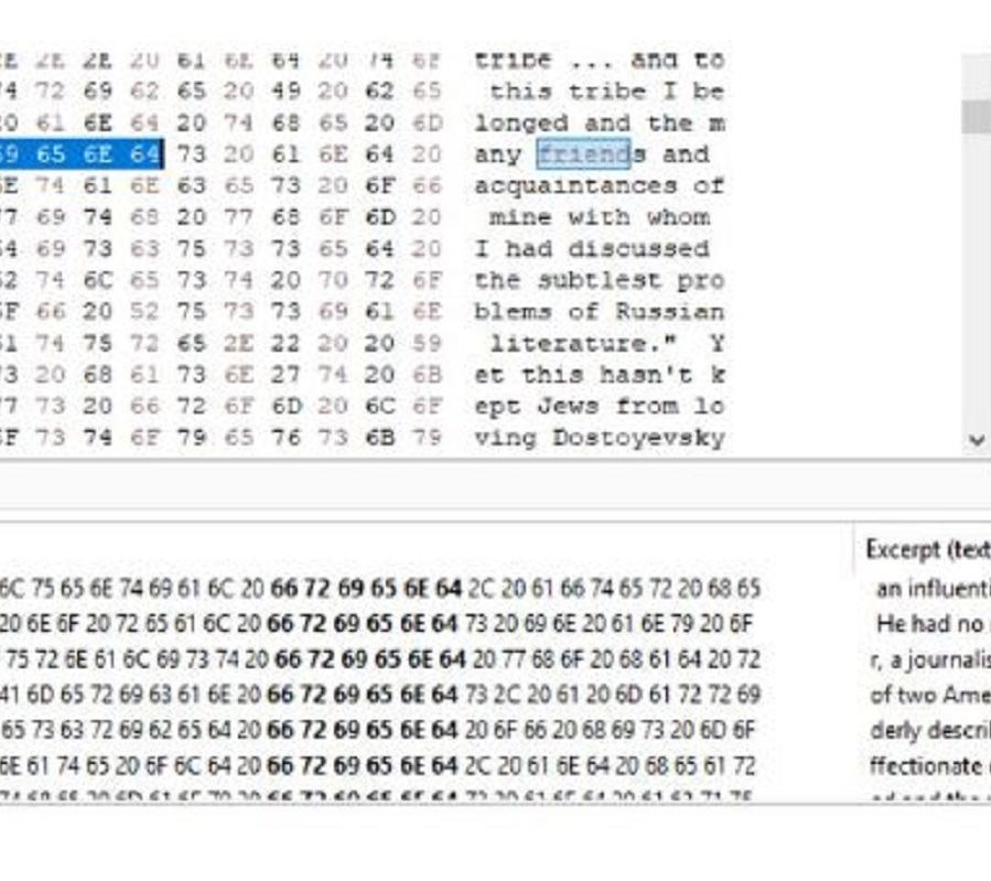 Screenshot of a search being conducted on the HxD Hex Editor tool.